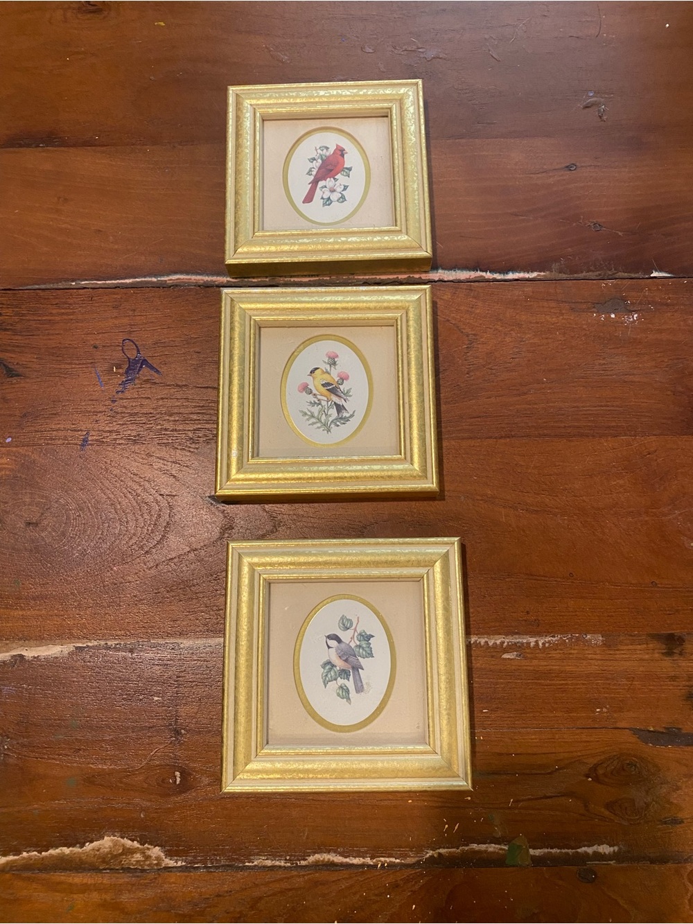 Gold Framed Bird Prints by Kathy Seeks